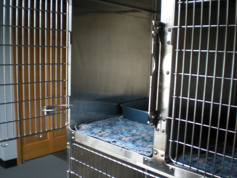 Example: Feline housing set-up for surgeries and boarding